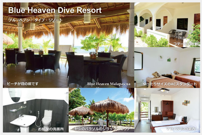 ブルーヘブン・リゾートのイメージ写真　Blue Heaven Dive Resort